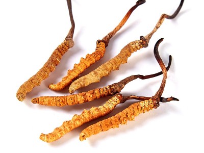西藏那曲虫草 新鲜冬虫草 冬虫夏草可食用 新货虫草礼盒装批发图5