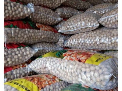 厂家批发500克装云南核桃 原味薄壳纸皮核桃 零食坚果薄皮核桃图5