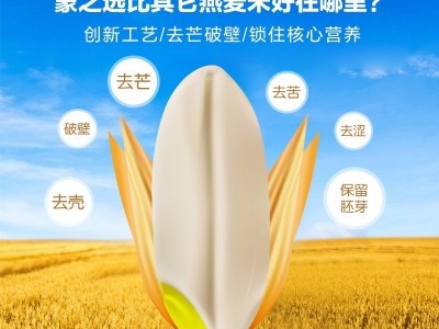 【内蒙古燕麦胚芽米】现货供应量大从优500克真空铝箔装图5