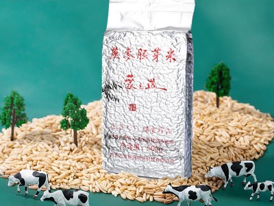 【内蒙古燕麦胚芽米】现货供应量大从优500克真空铝箔装图3