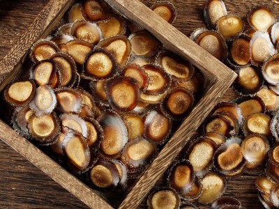 东北特产养殖干鹿茸半腊片图4