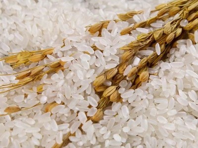 长粒香大米5kg厂家批发东北大米黑龙江特产农家新米粮油大米10斤图3