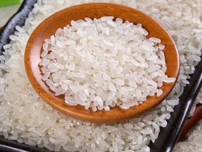 长粒香大米5kg厂家批发东北大米黑龙江特产农家新米粮油大米10斤图2
