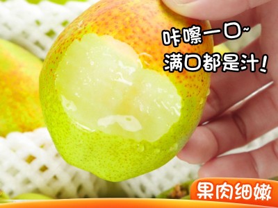 新疆库尔勒香梨5/8斤精选新鲜梨子现摘现发整箱批发一件代发图2