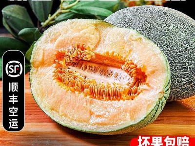 新疆哈密瓜吐鲁番特级西州蜜25号当季新鲜水果甜瓜整箱顺丰包邮图2