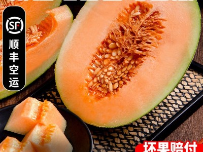 新疆哈密瓜吐鲁番特级西州蜜25号当季新鲜水果甜瓜整箱顺丰包邮图3