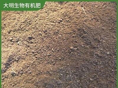 羊粪有机肥 大明生物 农资生物有机肥 改善土壤板结 厂家批发图4