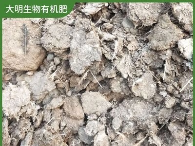 羊粪有机肥 大明生物 农资生物有机肥 改善土壤板结 厂家批发图5