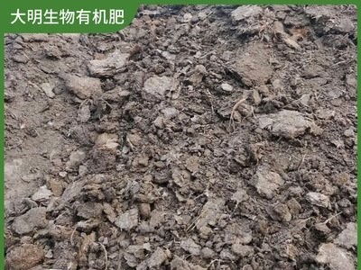 羊粪有机肥 大明生物 农资生物有机肥 改善土壤板结 厂家批发图2