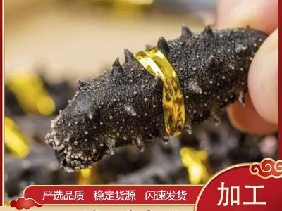 禾夕堂淡干2A大连淡干海参干货500g海刺参辽参非即食海参礼盒批发图5