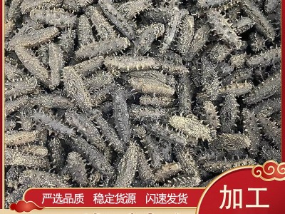禾夕堂淡干2A大连淡干海参干货50g辽参非即食海参礼盒批发图5