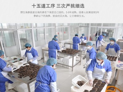 禾夕堂淡干2A大连淡干海参干货50g辽参非即食海参礼盒批发图3