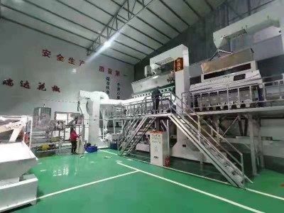 甘肃陇南武都大红袍2022年花椒干红无籽花椒火锅料500g包图4