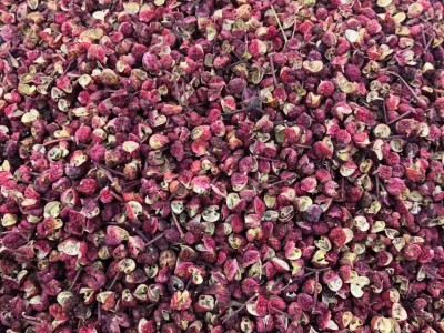 花椒甘肃陇南棉椒香料 调味品 散装图3