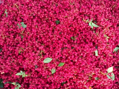 瑞达花椒甘肃陇南武都大红袍调味品花椒 颗粒 麻香图4