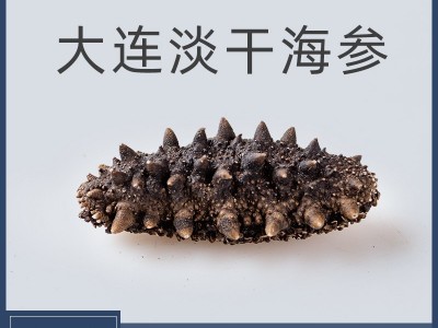 大连淡干海参批发辽参产地直销海参干货大连干海参一件代发图4