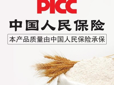 伊古道面粉5kg/袋 塑包 家用小麦粉 饺子面条烙饼发小包装包邮图3