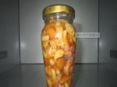 清水滑子菇罐头图2