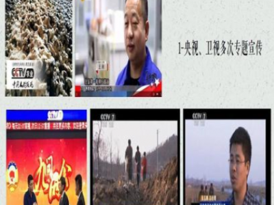 黑豆西施 黑豆类特色产品加盟招商图4