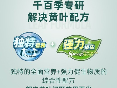 千百季绿叶宝叶面肥微量元素复合肥家庭园艺肥料花卉黄叶活力素图2