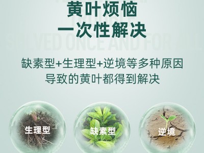 千百季绿叶宝叶面肥微量元素复合肥家庭园艺肥料花卉黄叶活力素图3
