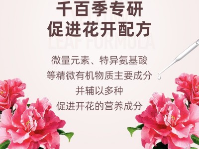 千百季开花宝叶面肥家庭园艺肥料花期活力素微量元素复合肥图2