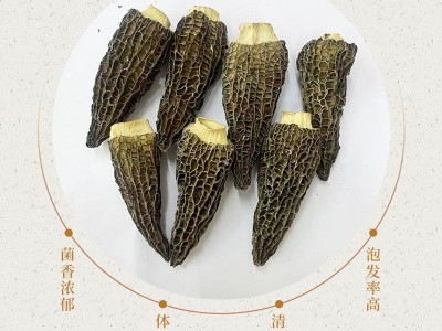 云南四川剪柄羊肚菌撒装干货批发 营养煲汤材料食用香浓菌图2