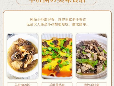 云南四川剪柄羊肚菌撒装干货批发 营养煲汤材料食用香浓菌图4