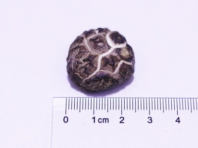 花菇干新货散装1千克 无熏硫冬菇 大花菇 珍珠花菇茶花菇干货冬菇图3