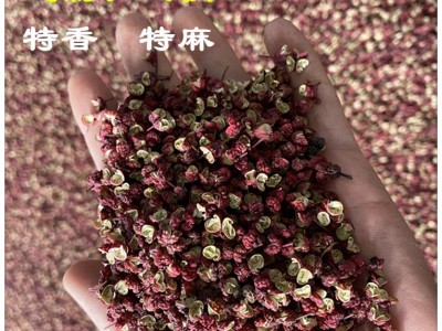 2023武都大红袍花椒加工款500g图2