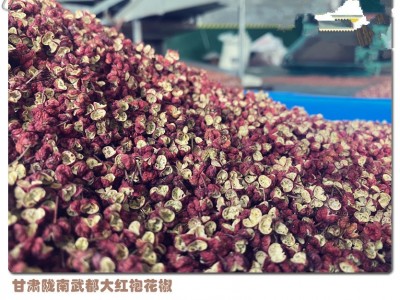2021武都大红袍花椒梅花椒香麻椒调味品干红花椒粒甘肃特产250g图3