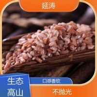 古法栽培 红米 农家自产红软米 不抛光不打蜡 延涛合作社