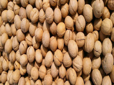 远东边贸 185头路仁天然产品手剥核桃香甜可口散装食品可商检出口图3