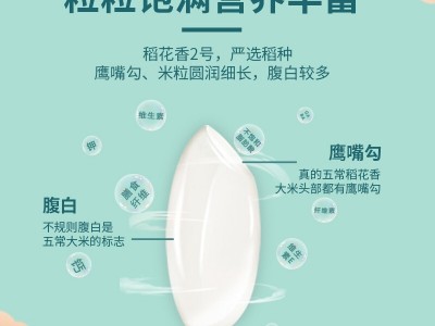 2022年新米东北五常大米稻花香2号5KG10斤真空包装一件代发图2