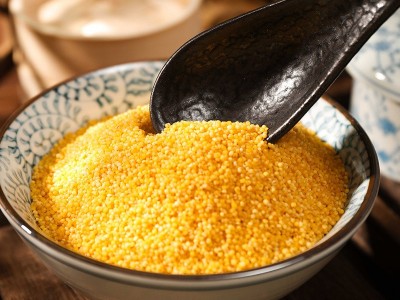 丰麦食品 黄小米 朝阳黄金苗 2.5kg 东北辽西朝阳建平特产图3