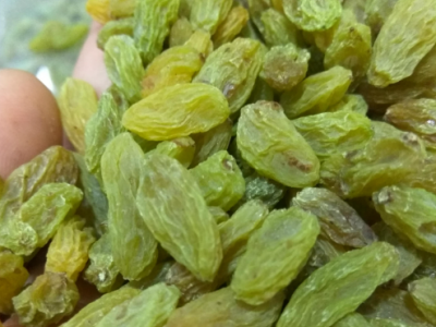 新疆吐鲁番特产小绿葡萄干500g批发无核葡萄果干零食一件代发包邮图4