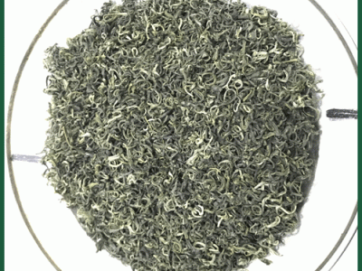 海南绿茶 新茶 180元/500克 送精美盒子批发图3