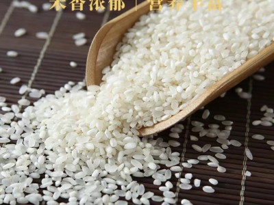 东北大米白米10斤小包装厂家批发食堂工地用米经济实惠图3