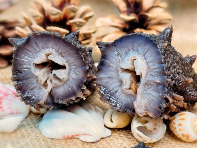 大连即食海参大连海参按需工厂生产量大价优淡干海参大连瀚岛即食图2