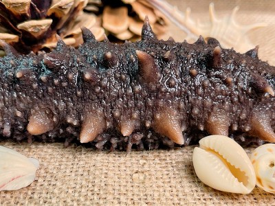 大连即食海参大连海参按需工厂生产量大价优淡干海参大连瀚岛即食图3