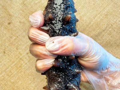 大连即食海参大连海参按需工厂生产量大价优淡干海参大连瀚岛即食图4