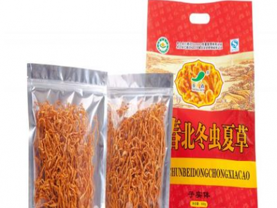 虫草花，北虫草，蛹虫草图2