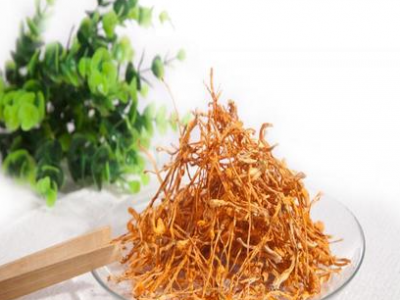 虫草花，北虫草，蛹虫草图4