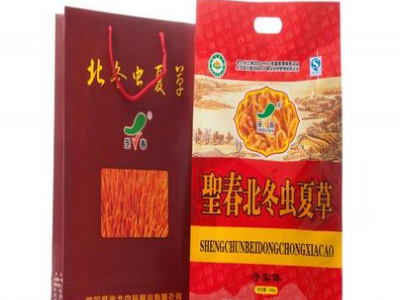 虫草花，北虫草，蛹虫草图3