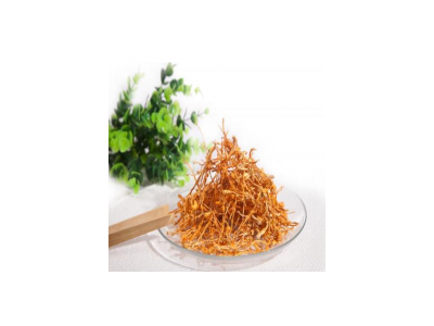 虫草花，北虫草，蛹虫草图5