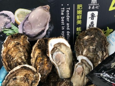 鲜活水产 乳 山 牡蛎 带壳海蛎子 生蚝 新鲜好品质图5
