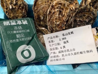 鲜活水产 乳 山 牡蛎 带壳海蛎子 生蚝 新鲜好品质图4