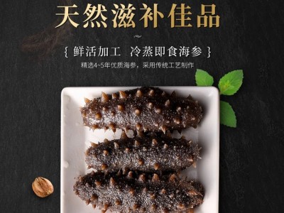 野生即食海参批发 一手货源 厂家直供 500g/袋 大小规格齐全图2