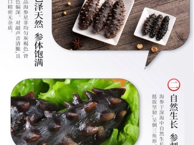 野生即食海参批发 一手货源 厂家直供 500g/袋 大小规格齐全图5