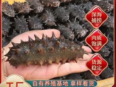 厂家直销大连淡干海参辽参高刺海参干货批发100g简易礼盒半干海参图3